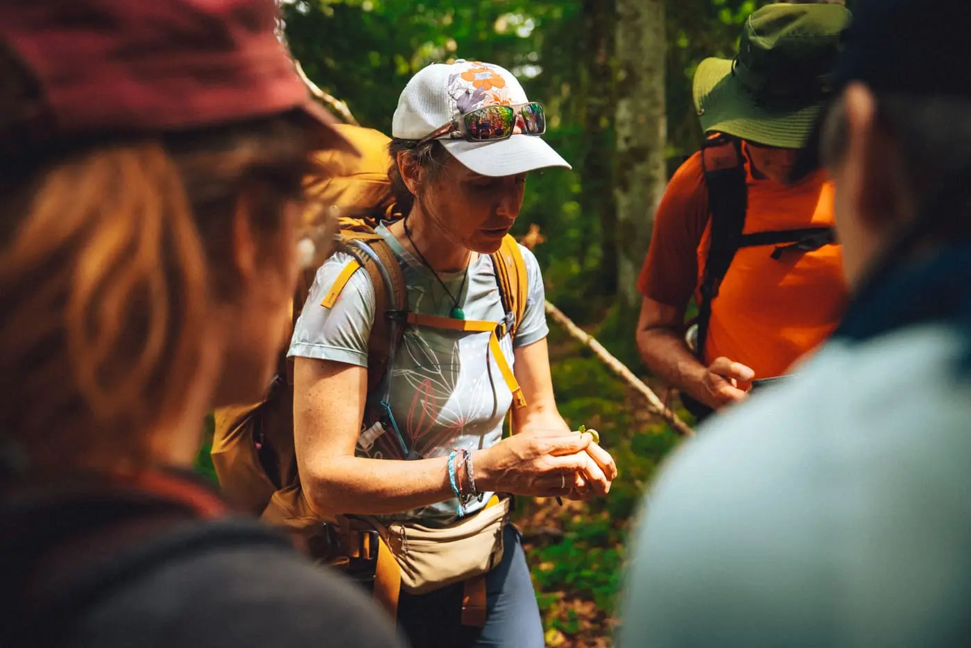 Une guide montre une plante à un petit groupe lors d'une marche en forêt